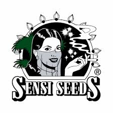 Holandské konopné semená Sensi Seeds